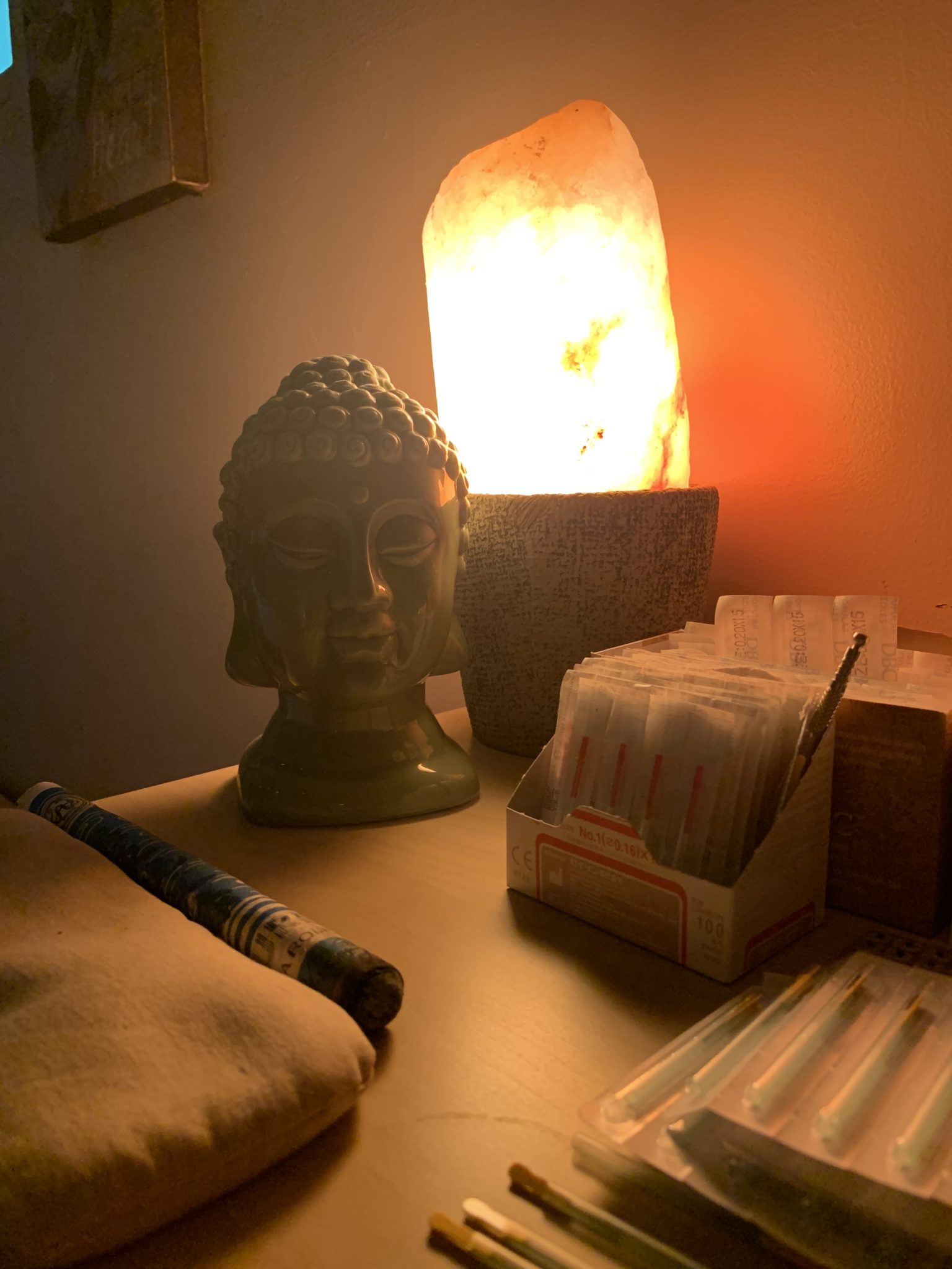 Wind in the Willows Acupuncture Pittsburgh West End Village